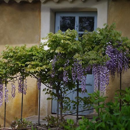 Chambre d'hôtes Au coquin de sort Vaison-la-Romaine Extérieur photo