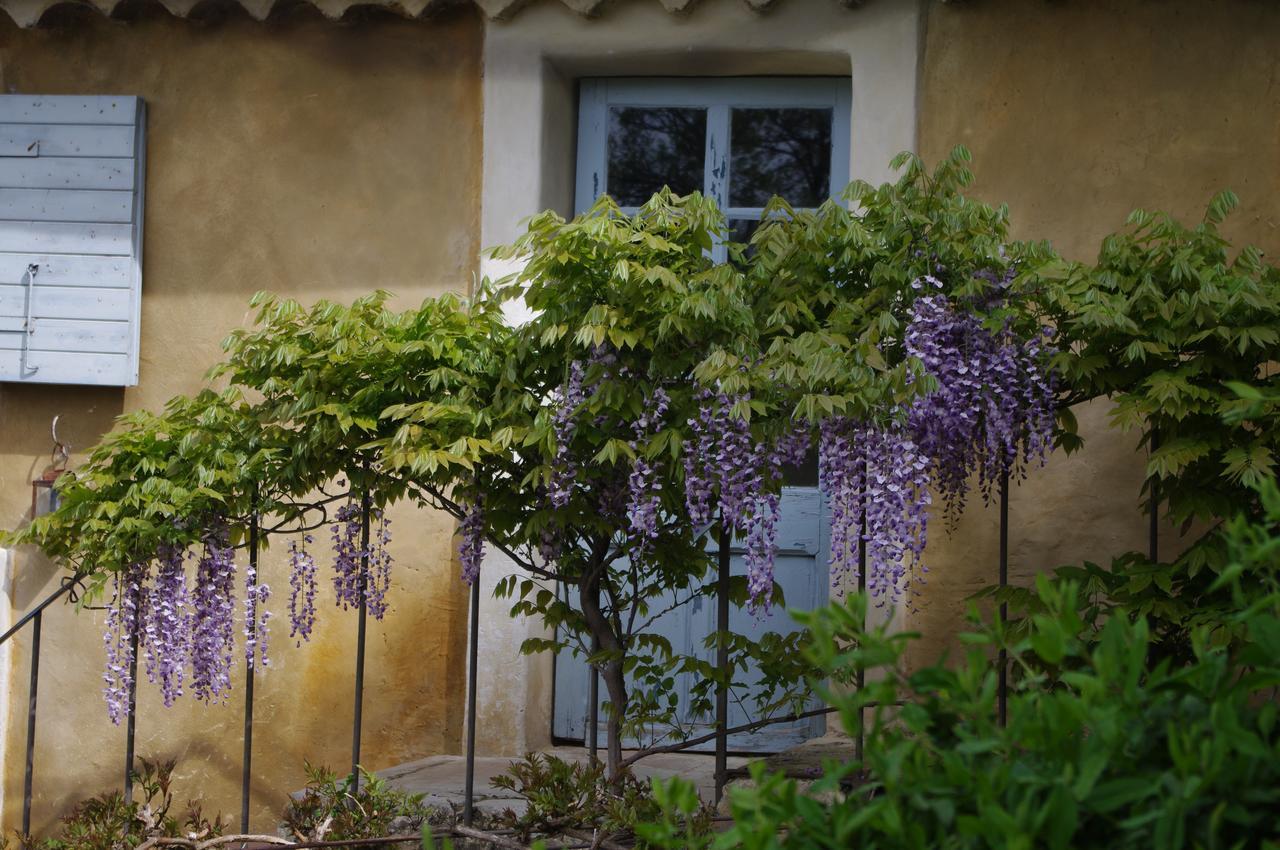 Chambre d'hôtes Au coquin de sort Vaison-la-Romaine Extérieur photo